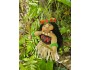 10" Art Doll Kamuela, the Hula Dancer