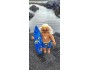 *10" Art Doll Wili, the Surfer Boy*