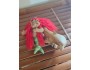 4" Art Doll Moemoe, the Mermaid