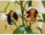 *Aloha Doll Ornament: Maile, the Guardian Angel*