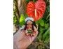 *Aloha Doll Ornament: Maile, the Guardian Angel*