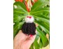 *Aloha Doll Ornament: Kanikani, the Christmas Elf*