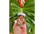 *Aloha Doll Ornament: Mu**, the Christmas Elf*