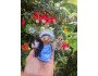 4" Art Doll Poli'ahu, Snow Goddess of Mauna Kea 4" Art Doll Poli'ahu, Snow Goddess of Mauna Kea