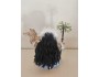 4" Art Doll Poli'ahu, Snow Goddess of Mauna Kea 4" Art Doll Poli'ahu, Snow Goddess of Mauna Kea