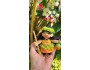 4" Art Doll Pala'ai, the Little Hawaiian Witch